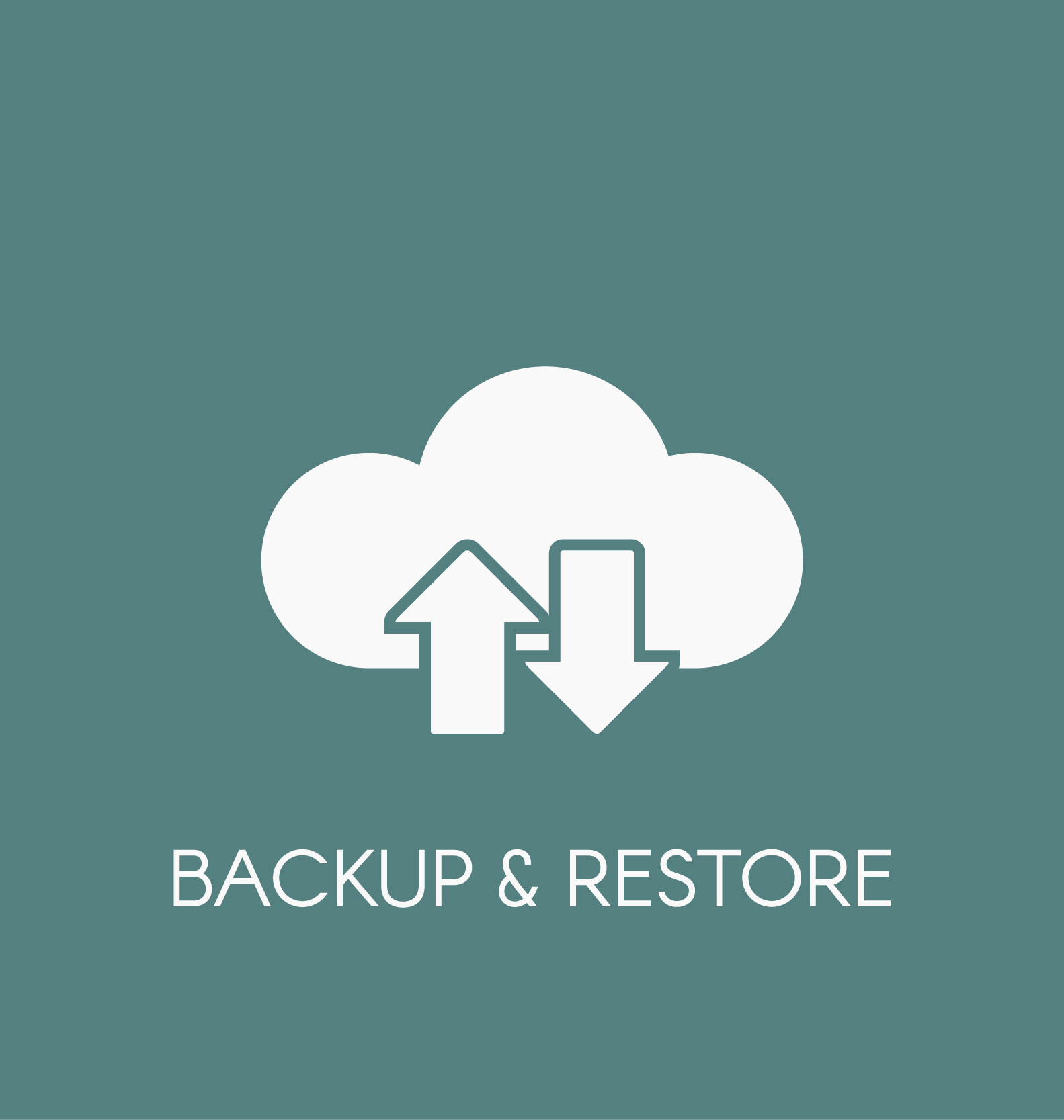 Securing Your Digital Assets: The Importance of Backup Solutions by Toledo Consulting